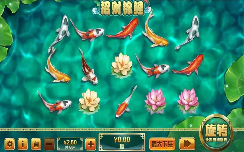 大发娱乐全新力作 —— 招财锦鲤，带你畅游好运与财富【365娱乐资讯网】